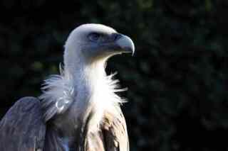 Kako Se Piše CEMK: Ultimativni Vodič za 2024. Godinu