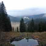 Faktologija: Deset Razloga Zašto Pogrešno Vidimo Svijet i Kako Poboljšati Svoju Percepciju