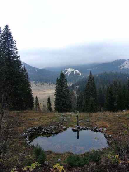 Nacionalni park Sjeverni Velebit: Original hrvatsko prirodno blago i raznolikost