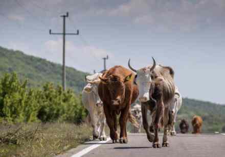 Kako vreme prolazi: Misterija broja 67 i epizoda koja nas je sve ostavila bez daha