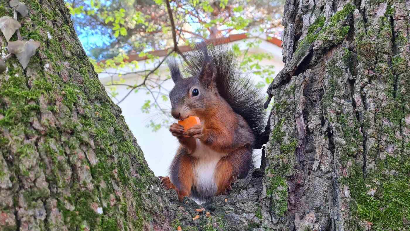 Tko zna zašto je to dobro: vodič kroz značenje, primjenu i utjecaj fraze u životu i poslovanju