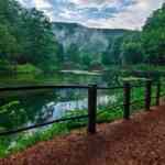 Vodič za vlasnike: kako mačke zapravo umiru i što možete učiniti