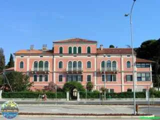 Čagalj kako je nastao: Uvod u porijeklo i karakteristike papige iz porodice pasa