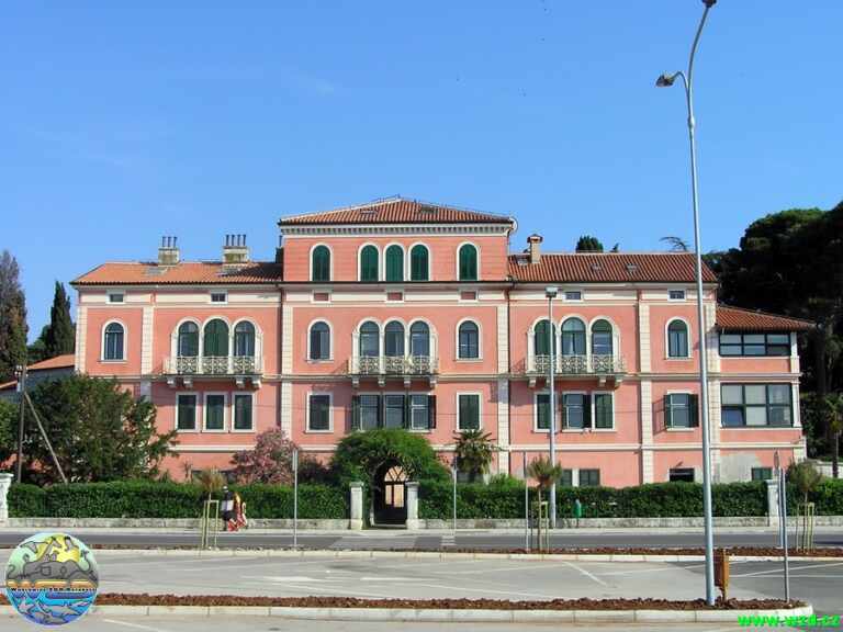 Čagalj kako je nastao: Uvod u porijeklo i karakteristike papige iz porodice pasa