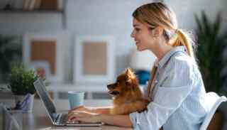 Osnove razvoja mobilnih aplikacija