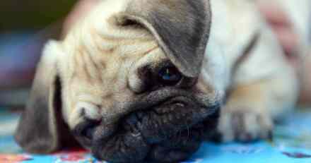 Kako se odblokirati kad te netko blokira na Viberu: Sveobuhvatan vodič za 2024.