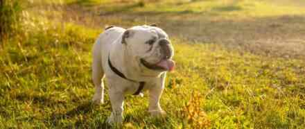 3d printer kako radi: sve što trebate znati o aditivnoj proizvodnji