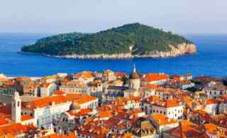 Kako makovi rastu uz prugu: vodič kroz razloge i posljedice