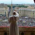 Zašto ispod bora nema puno drugih biljaka i kako potaknuti bujni rast