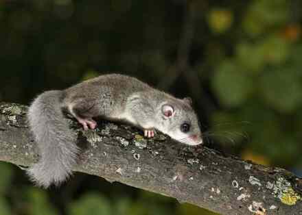 Kako se kaze treba ili trebam zahtjevi za posao u novom dobu radničke prerade?