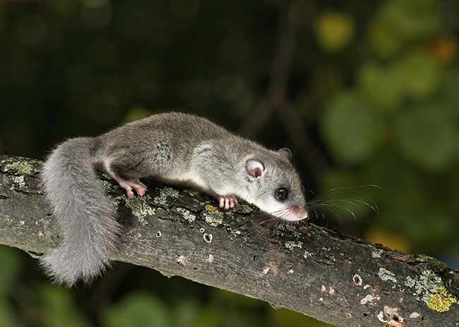 Kako se kaze treba ili trebam zahtjevi za posao u novom dobu radničke prerade?
