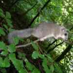 Kako se zove broj od kojeg oduzimamo: Vodič kroz važan aspekt matematičkih operacija