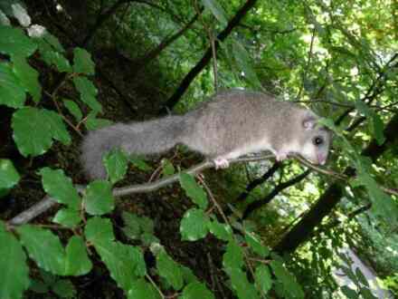 Kako se zove broj od kojeg oduzimamo: Vodič kroz važan aspekt matematičkih operacija