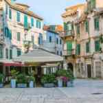 Zašto puca orehnjača: Sveobuhvatan vodič