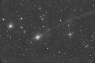 Kako crtati psa: Vodič za početnike i napredne