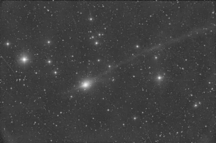 Kako crtati psa: Vodič za početnike i napredne