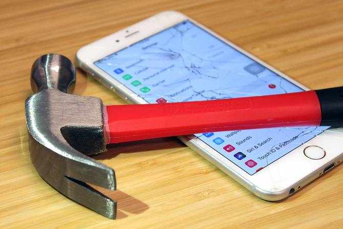 Zašto iguane vole ležati na suncu