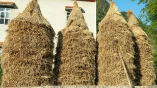 Zašto se meteorski pljuskovi pojavljuju svake godine u isto vrijeme