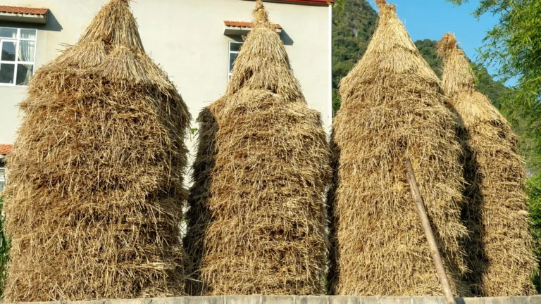 Zašto se meteorski pljuskovi pojavljuju svake godine u isto vrijeme