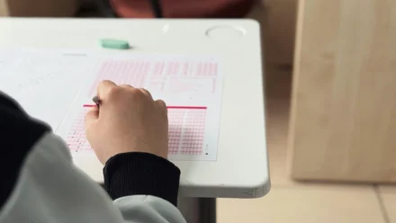 Piše li se ljepota ili lijepota? Pravilno pisanje i upotreba
