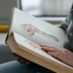 Piše li se bjesnoća ili bjesnoča? Pravilno pisanje i značenje pojma
