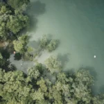 Igrači ili igraći: Vodič kroz pravopisnu razliku i pravilnu upotrebu