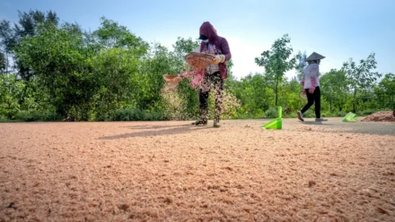 Besplatno reklamiranje na Facebooku: Vodič za razvoj poslovanja i vidljivosti