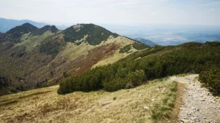 Umjetnost pripreme autentičnog ragù alla Bolognese: Vodič do savršenog mesnog umaka