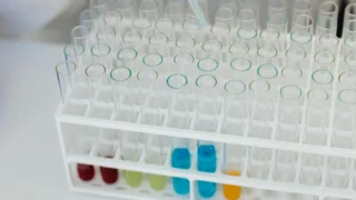 Piše li se đavao ili džavao? Pravilno pisanje i značenje riječi
