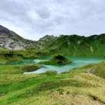 Vodič kroz maslinarstvo: Od sadnje i njege do proizvodnje vrhunskog ulja
