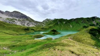 Vodič kroz maslinarstvo: Od sadnje i njege do proizvodnje vrhunskog ulja