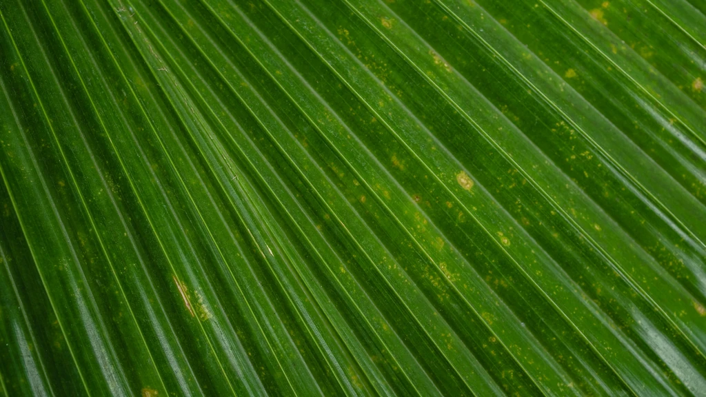 Prepoznavanje napada panike i paničnog poremećaja: Simptomi, razlike i put do oporavka