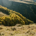 Prednosti poslovanja i života u manjim sredinama: Put prema ravnoteži i kvalitetnom životu