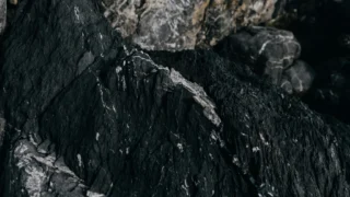 Trocijevka ili trocjevka: Kako pravilno pisati i prepoznati pravilan oblik?