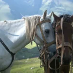 Uzroci nevjere u partnerskim odnosima i strategije za očuvanje veze