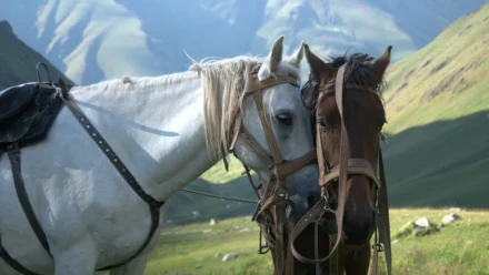Uzroci nevjere u partnerskim odnosima i strategije za očuvanje veze