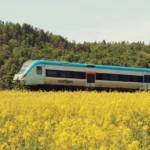 Uzroci nevjere u partnerskim odnosima i strategije za očuvanje veze