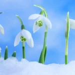 Tajne dizajna tiskanih elektroničkih ploča: Zašto vodovi imaju specifične oblike i širine?
