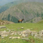 Uzroci nevjere u partnerskim odnosima: Kako prepoznati rizike i spasiti vezu