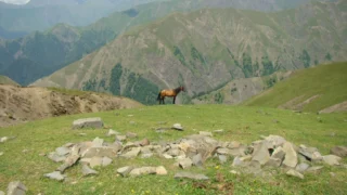 Uzroci nevjere u partnerskim odnosima: Kako prepoznati rizike i spasiti vezu