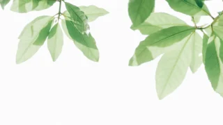 SEO Keyword: “Maya Angelou Quotes on Courage, Love and a Life Well Lived