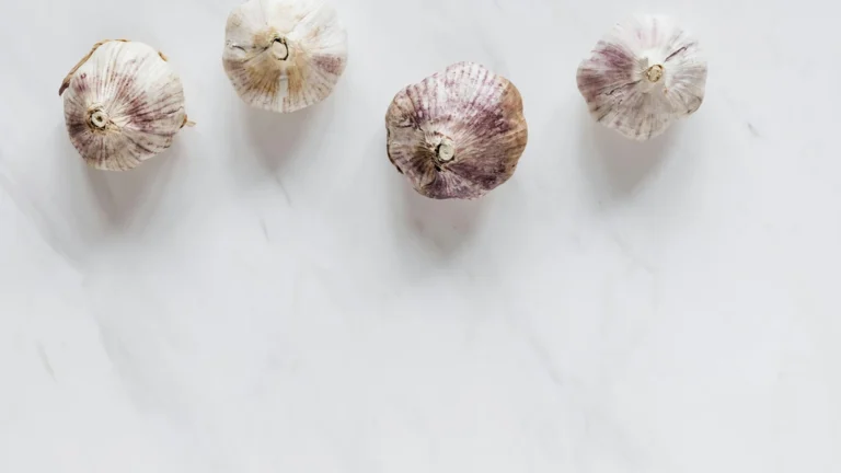 Pork roast s jabukom i slanom kisom