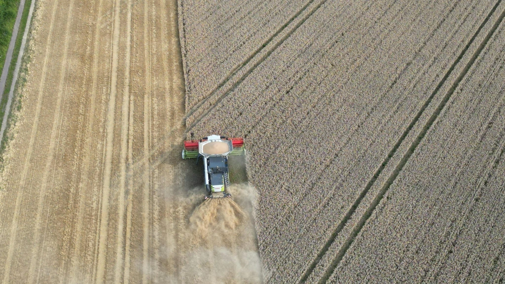 Uzroci nevjere u partnerskim odnosima i strategije za očuvanje veze