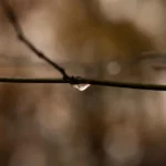 Uzroci nevjere u ljubavnim odnosima i strategije za očuvanje veze