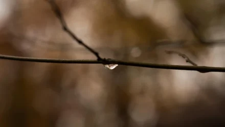 Uzroci nevjere u ljubavnim odnosima i strategije za očuvanje veze