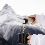 Zvjezdača ili zvijezdača: Pravila pisanja i zanimljivosti o morskim bodljikašima