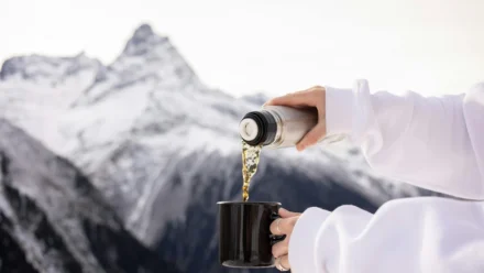 Zvjezdača ili zvijezdača: Pravila pisanja i zanimljivosti o morskim bodljikašima